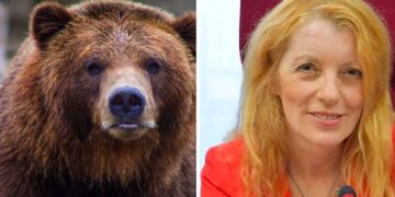 Brambilla scrive alla Provincia di Trento: “Trasferite orsa M49 in Romania, sono pronta a farmi carico delle spese”