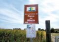 Piani di gestione del Parco del Mincio: convocate le prime conferenze di valutazione
