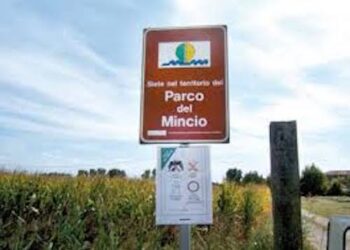 Piani di gestione del Parco del Mincio: convocate le prime conferenze di valutazione