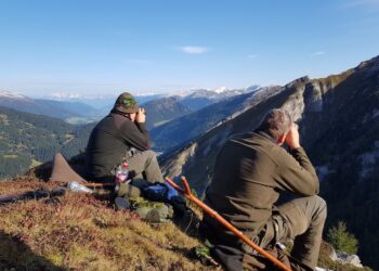 La Provincia di Bolzano è alla ricerca di nuovi guardacaccia