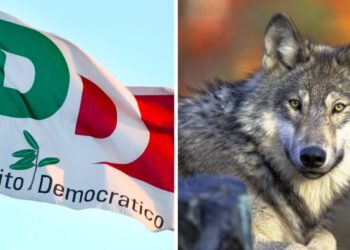 Emilia Romagna, ora anche il PD si rende conto della pericolosità del lupo