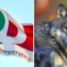 Emilia Romagna, ora anche il PD si rende conto della pericolosità del lupo