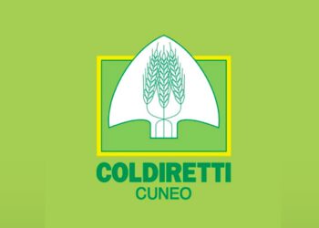 Adesioni minime alla caccia anticipata al cinghiale, Coldiretti Cuneo: “Occasione mancata”