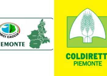 Piemonte, nervi tesi tra Arci Caccia e Coldiretti