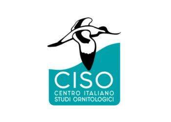 I problemi del Ddl “Montagna” secondo gli ornitologi italiani