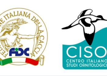 Federcaccia contro gli ornitologi: “Infondate le valutazioni sul Ddl Montagna”