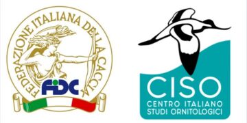 Federcaccia contro gli ornitologi: “Infondate le valutazioni sul Ddl Montagna”