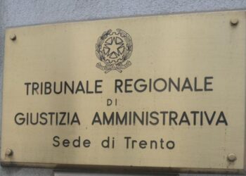Il TRGA conferma la decisione della Provincia di Trento di abbattere 2 lupi in Lessinia