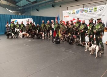 Iniziati i Campionati del Mondo di Cinofilia 2025: le speranze dell’Italia