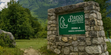 Abruzzo: 8,5 milioni di euro ai parchi per ridurre incidenti con fauna selvatica