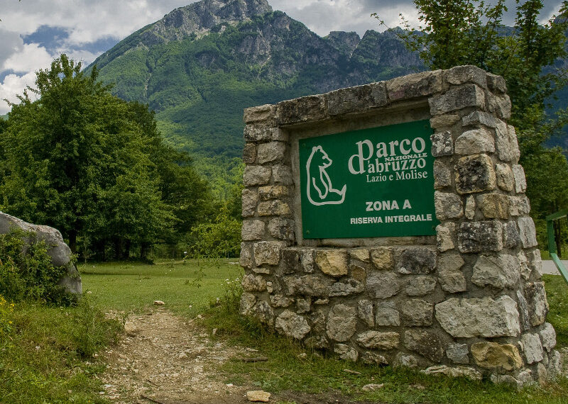 Abruzzo: 8,5 milioni di euro ai parchi per ridurre incidenti con fauna selvatica