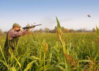 Il ddl 1552 si propone l'obiettivo di aggiornamento normativo per una gestione e tutela integrata della natura.