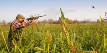Il ddl 1552 si propone l'obiettivo di aggiornamento normativo per una gestione e tutela integrata della natura.