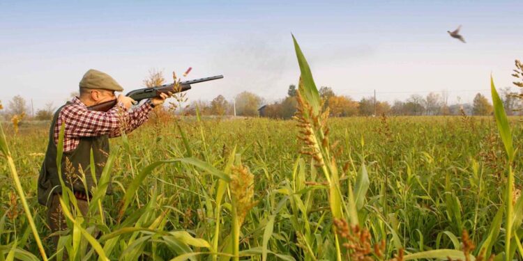 Il ddl 1552 si propone l'obiettivo di aggiornamento normativo per una gestione e tutela integrata della natura.