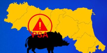 Peste suina, gli ispettori dell’Unione Europea hanno valutato positivamente la gestione dell’Emilia Romagna