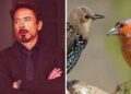 Ci risiamo, in Lombardia gli animalisti ricorrono di nuovo contro le deroghe a storni e fringuelli