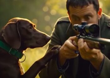 L’azienda che produce alimenti a base di cinghiale e che ha fatto uno spot contro…la caccia! – VIDEO