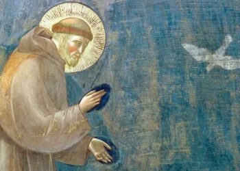 “Non si può celebrare San Francesco approvando la riforma della caccia”: la nuova petizione della LIPU