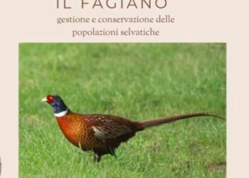 Federcaccia lancia le pillole di gestione faunistico venatoria