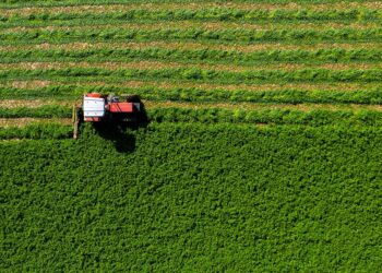 In Italia è record di candidature per il Servizio Civile Agricolo