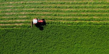 In Italia è record di candidature per il Servizio Civile Agricolo