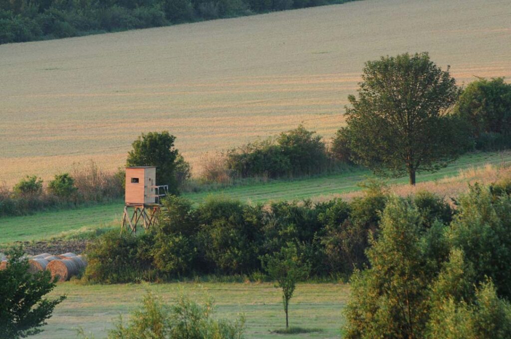 norme per la protezione della fauna selvatica omeoterma e per il prelievo venatorio Criticato l'ampliamento degli ATC ad aree provinciali.