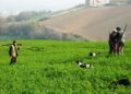 La nuova normativa è più aderente alle esigenze dei cacciatori e a una gestione faunistica "moderna”.