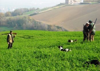 La nuova normativa è più aderente alle esigenze dei cacciatori e a una gestione faunistica "moderna”.