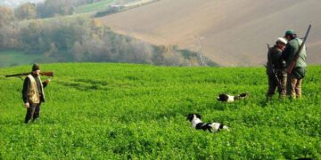La nuova normativa è più aderente alle esigenze dei cacciatori e a una gestione faunistica "moderna”.