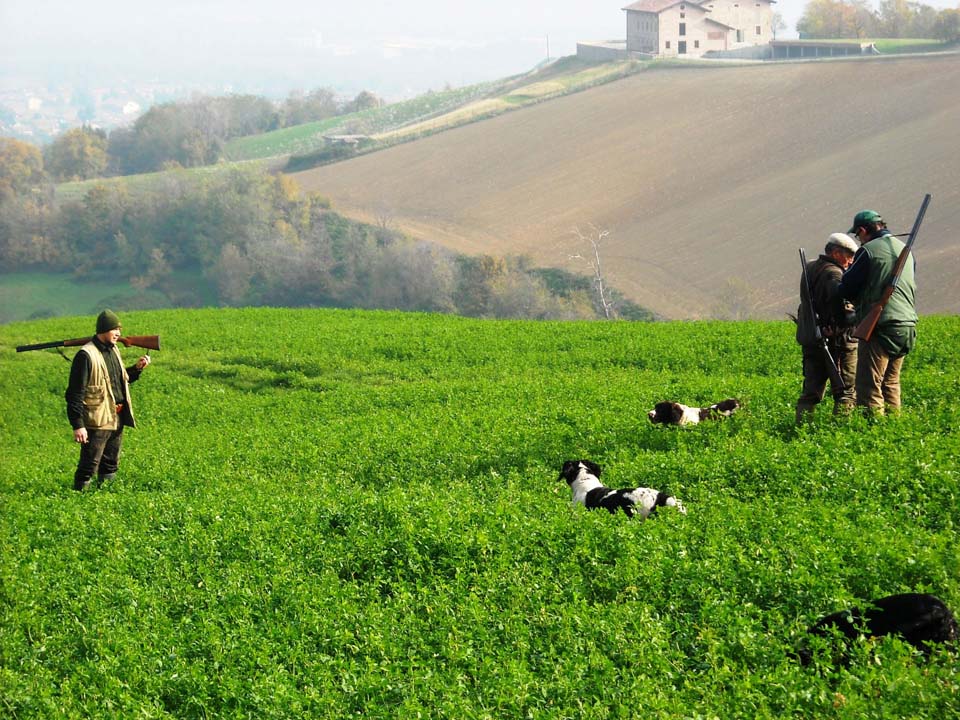 norme per la protezione della fauna selvatica omeoterma e per il prelievo venatorio La nuova normativa è più aderente alle esigenze dei cacciatori e a una gestione faunistica "moderna”.