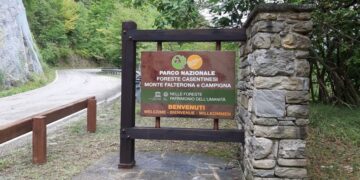 Foreste Casentinesi, Luca Santini è il nuovo presidente della Comunità del Parco