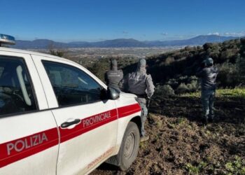 Rispetto delle distanze e prevenzione del bracconaggio: nel Pratese intensificati i controlli venatori