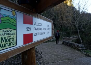 Lazio, il Parco dei Monti Aurunci forma i coadiutori per i piani di controllo del cinghiale