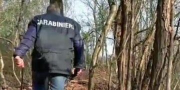 Rapine ai danni dei cacciatori in Calabria, le associazioni chiedono aiuto alle autorità