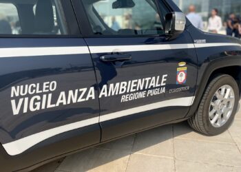 Puglia, approvato il nuovo regolamento per il nucleo di vigilanza ambientale