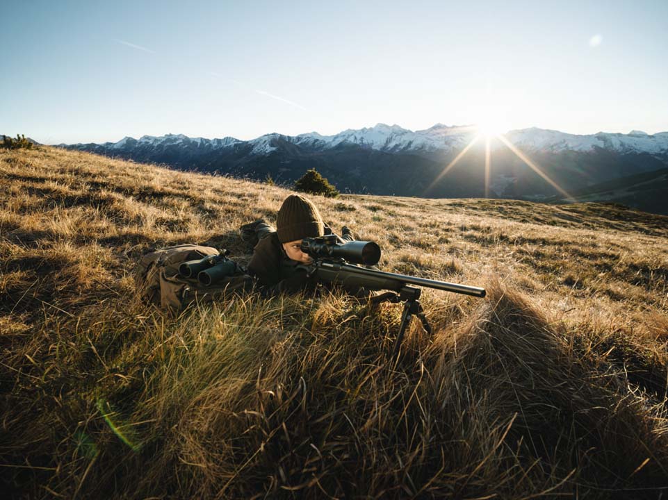 Swarovski ds Swarovski ds