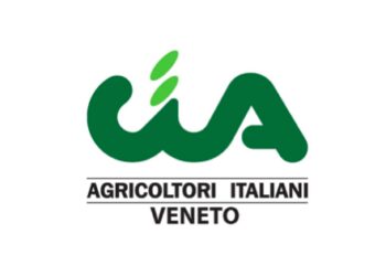 Elezioni regionali in Veneto, CIA: “Prioritaria la questione della fauna selvatica”