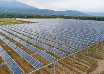 Agrivoltaico: opportunità o illusione green? Tecnica e politica a confronto