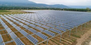Agrivoltaico: opportunità o illusione green? Tecnica e politica a confronto
