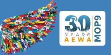 Tutela degli uccelli migratori acquatici: l’AEWA compie 30 anni