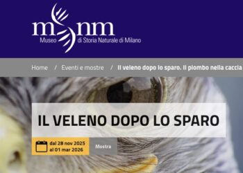 Piombo, la mostra del Museo di Storia Naturale di Milano che non convince i cacciatori