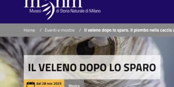 Piombo, la mostra del Museo di Storia Naturale di Milano che non convince i cacciatori