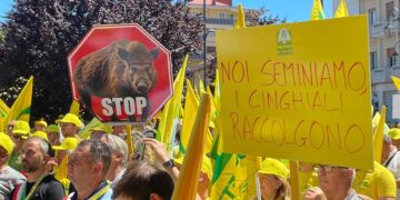 Fauna selvatica, Coldiretti Abruzzo manifesta davanti al Consiglio Regionale