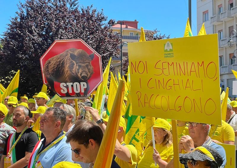 Fauna selvatica, Coldiretti Abruzzo manifesta davanti al Consiglio Regionale