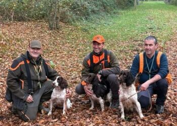 Cinofilia venatoria, la famiglia Villani sul tetto del mondo: trionfo in Francia