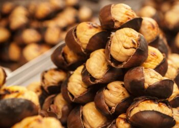 Caccia e ruralità: nel Padule di Fucecchio alla scoperta di castagne