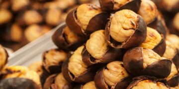 Caccia e ruralità: nel Padule di Fucecchio alla scoperta di castagne