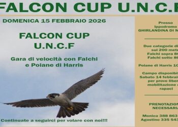 All’Ippodromo Ghirlandina di Modena va in scena la Falcon Cup