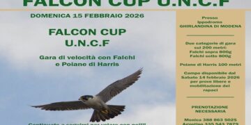 All’Ippodromo Ghirlandina di Modena va in scena la Falcon Cup