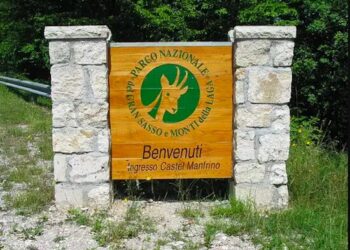 Controlli straordinari nel Parco Nazionale d’Abruzzo: 12 contestazioni amministrative